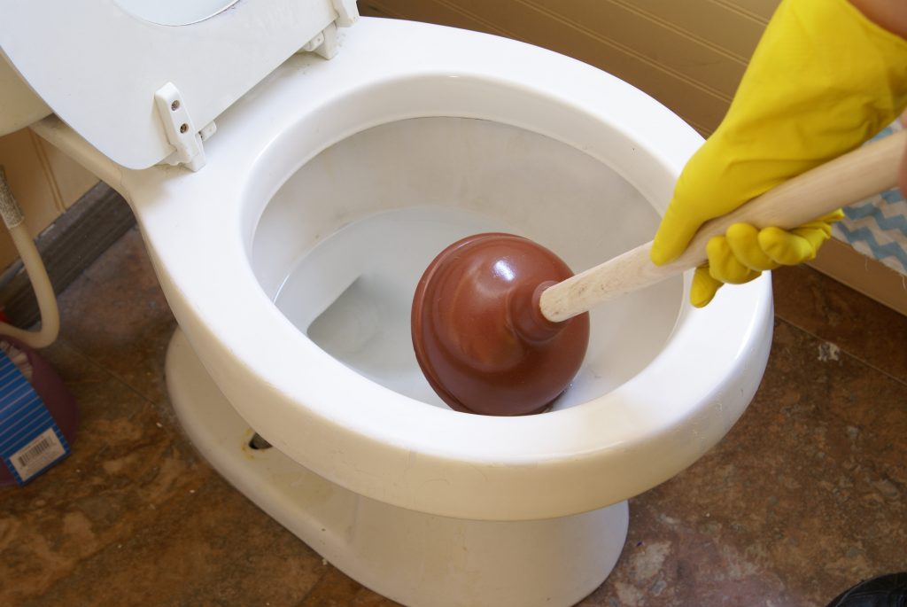 Cleaning Toilet