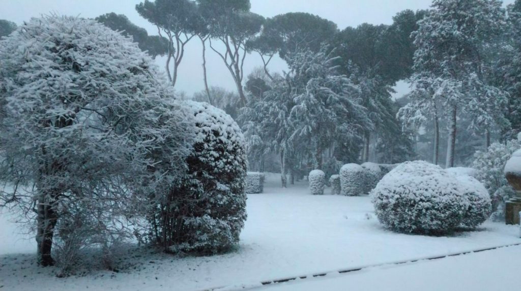 Snow covered garden in Rome