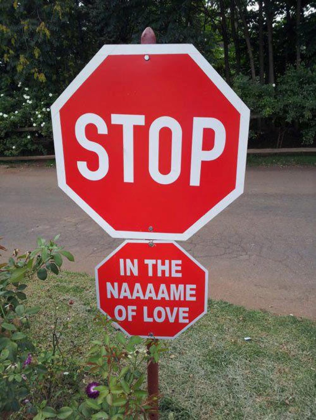 Stop in the name of love Road Warning Signs
