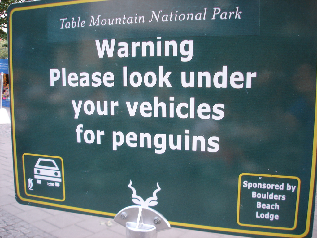 Please look under for Penguins Road Warning Signs