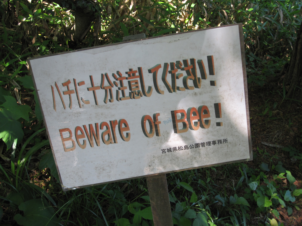 beware of bee Road Warning Signs