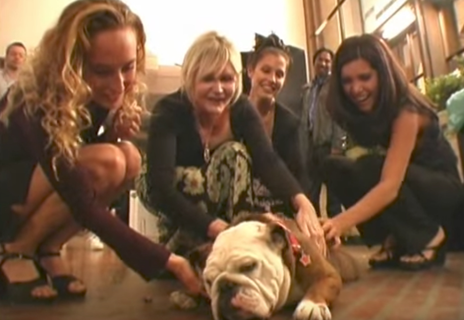 Adam Sandler Dog Meatball Celebrity Pets