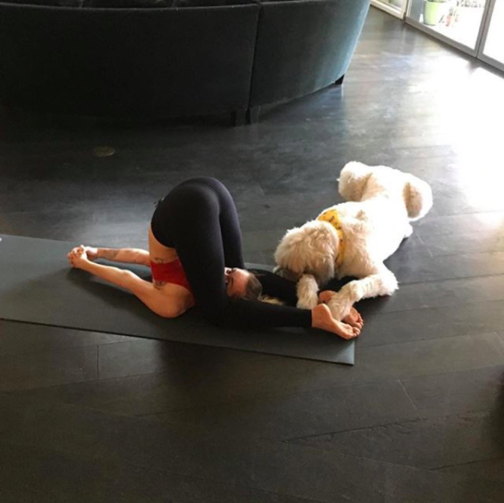 Miley Cyrus does yoga with her dog