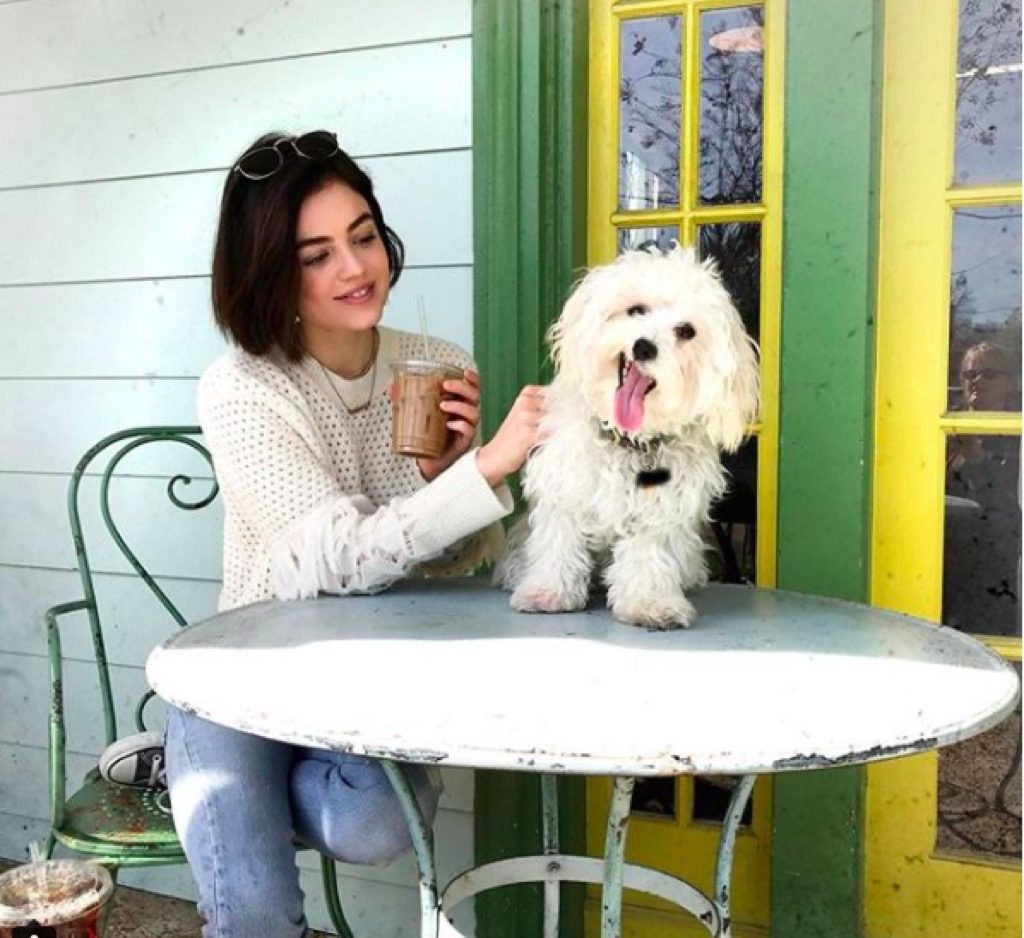 Lucy Hale's dog Elvis
