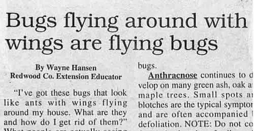 funniest newspaper headlines