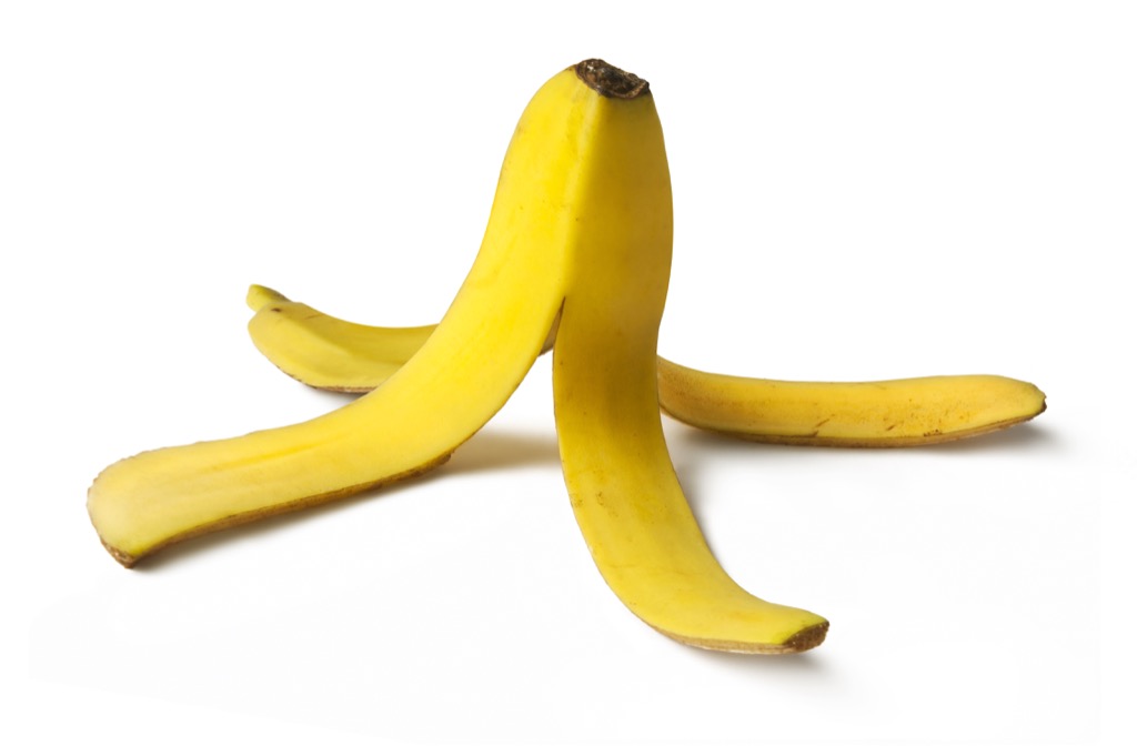 Banana Peel Random Facts