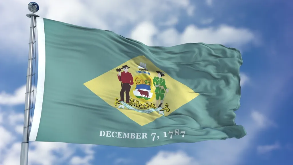 Delaware State Flag State Jokes