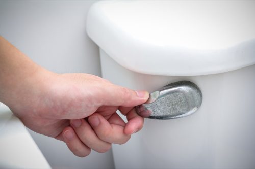 Hand flushing a toilet in the bathroom