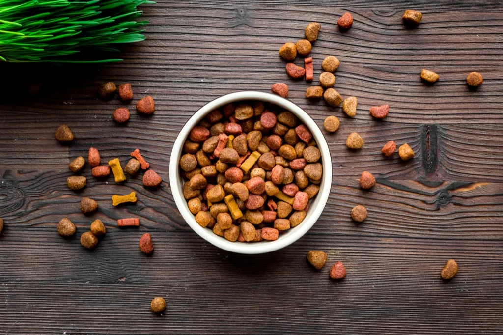 pet food products you should always buy generic