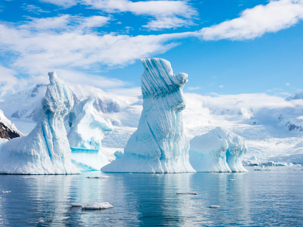 Icebergs in Antartica