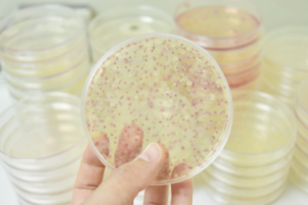 Bacteria Astonishing Facts