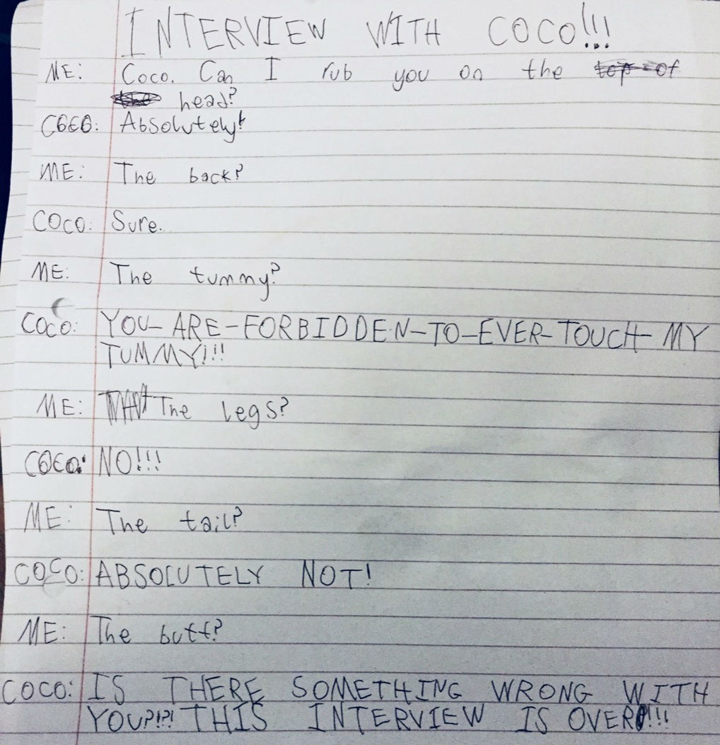 Cat interview funny kid's assignments