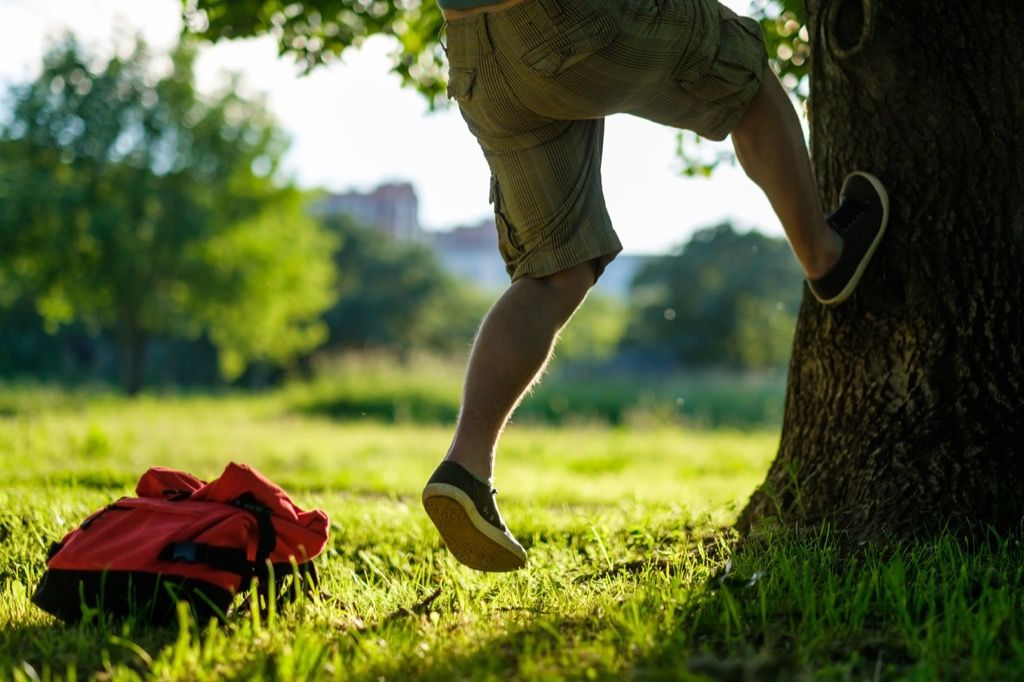 Tree Climbing weirdest college courses