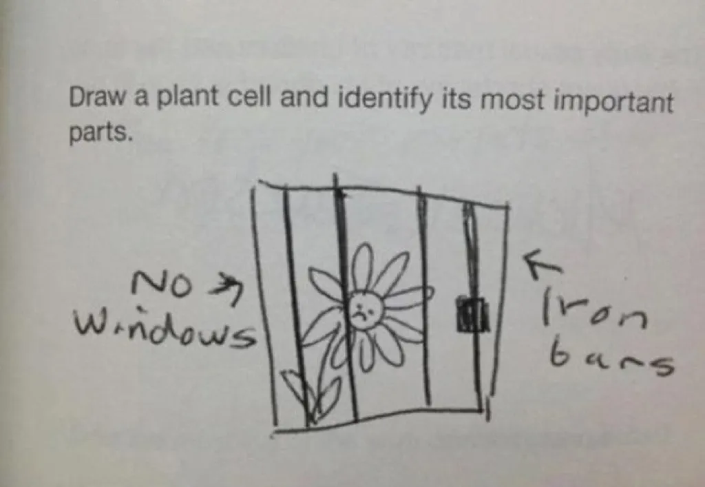 Plant cell funny kid's assignments