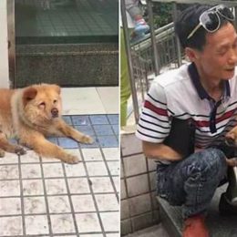 15-year-old Xiongxiong camps out at a subway station in China, letting people pet him all day, until his owner returns from work.