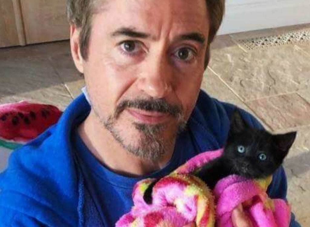 Robert Downey, Jr. holding a kitten