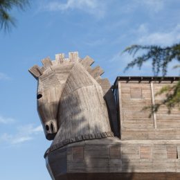 Trojan horse Relevant Historical Advice