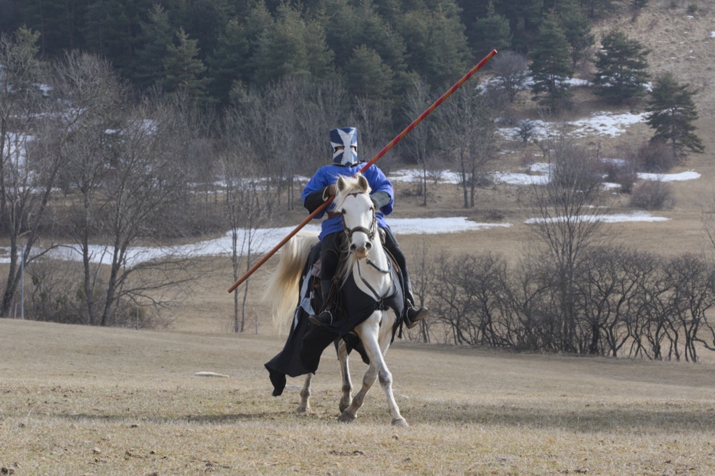 Jouster on horse