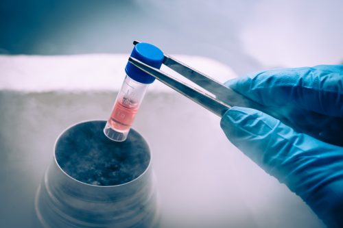 Stem Cells Scientific Discoveries