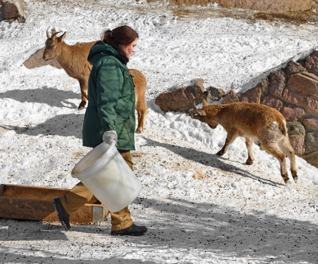 30 OfficeFriendly Jokes That Are Actually Funny — Best Life