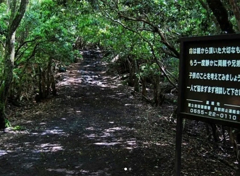 Aokigahara Japan suicide forest