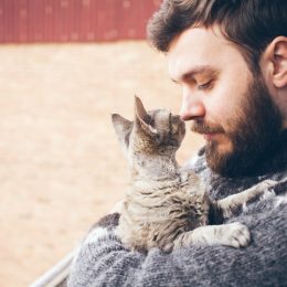 cat showing affection to answer with a kiss on the nose
