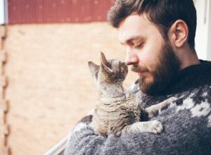 cat showing affection to answer with a kiss on the nose
