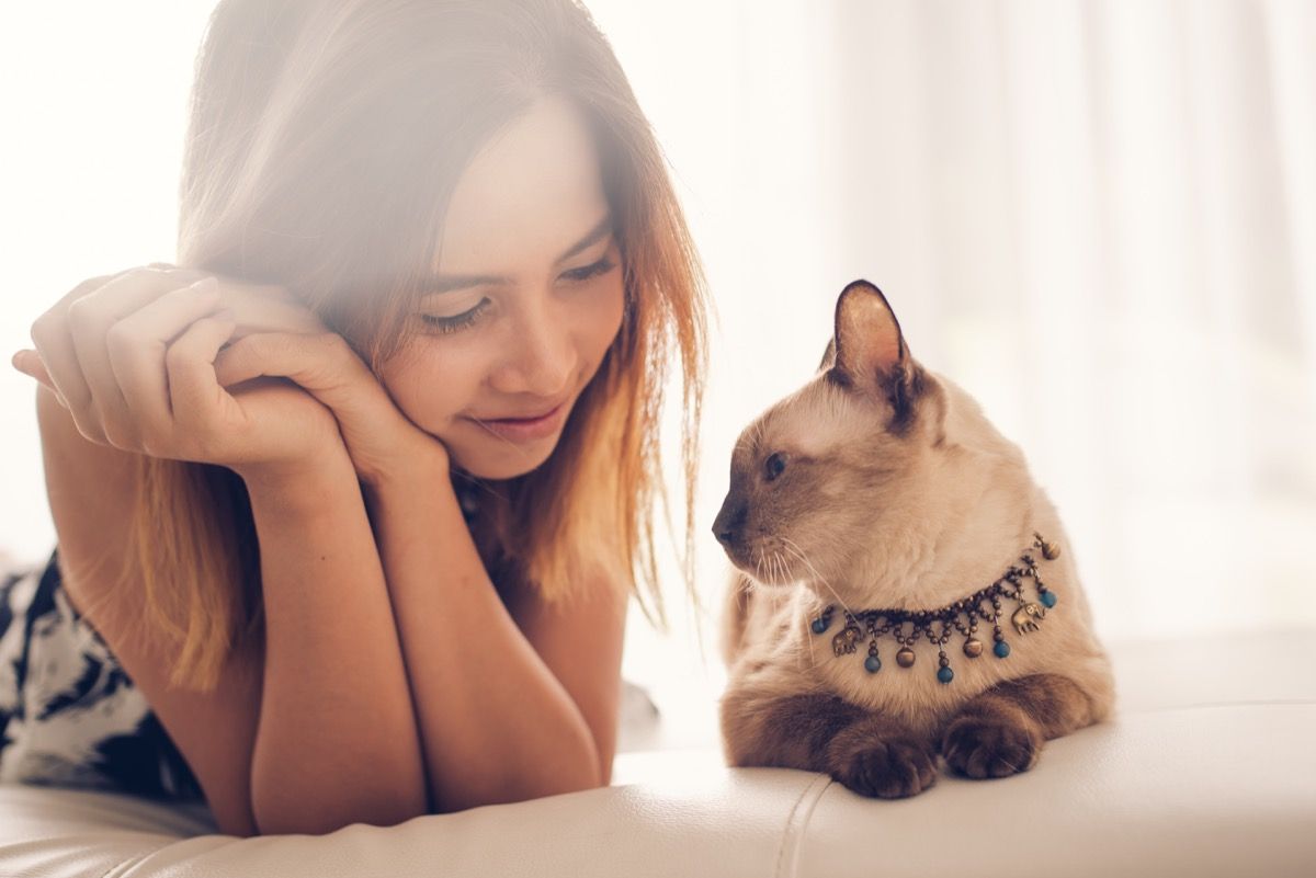 cat lovingly lying next to its owner on the bed