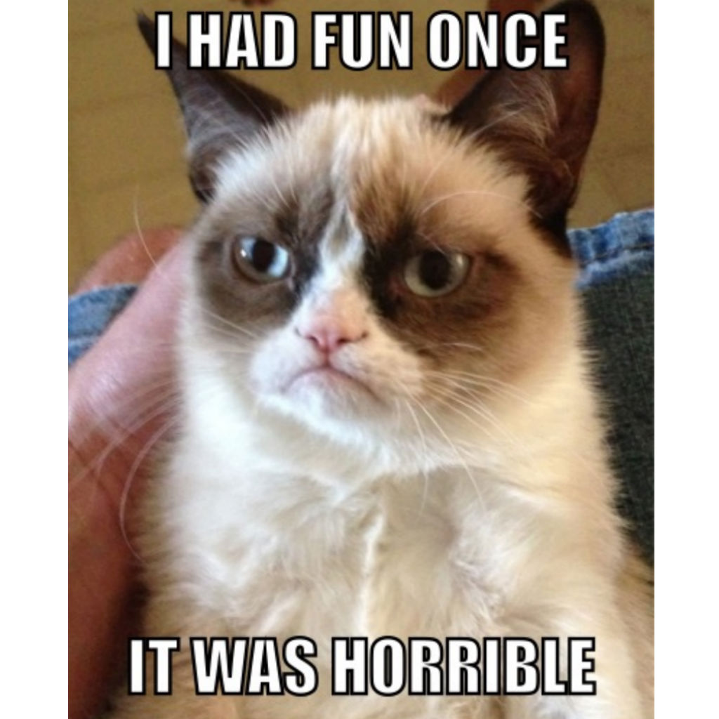 Grumpy cat memes
