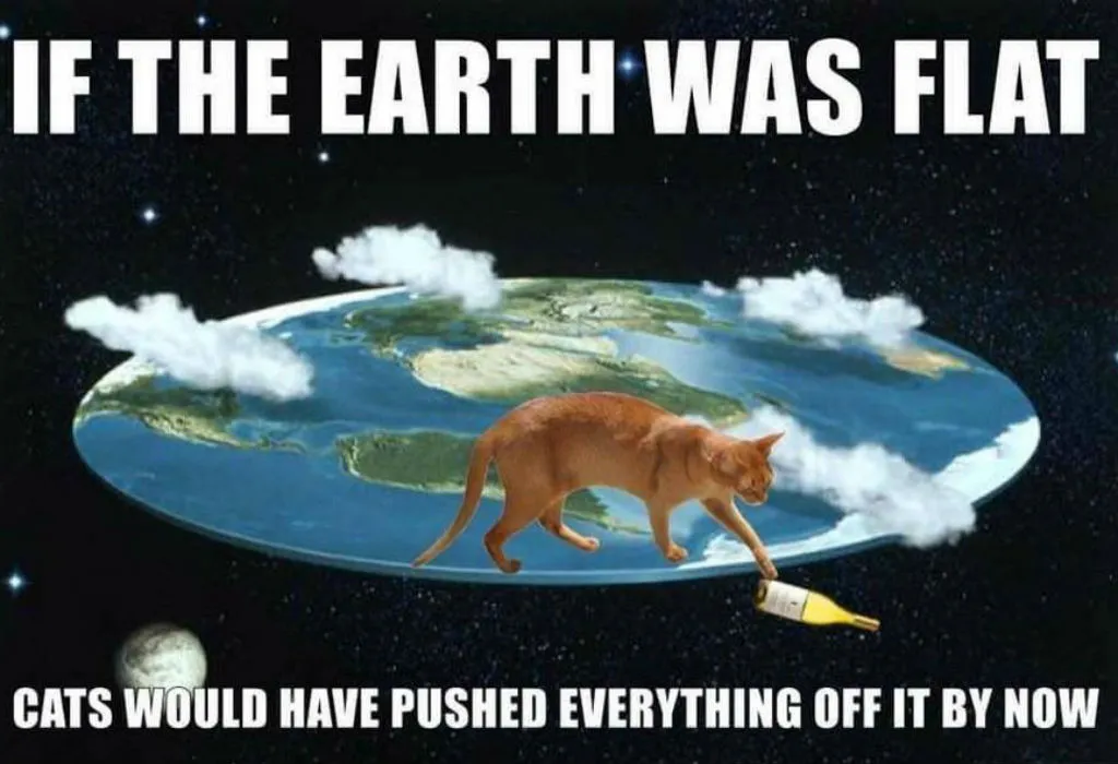 Flat earth cat memes