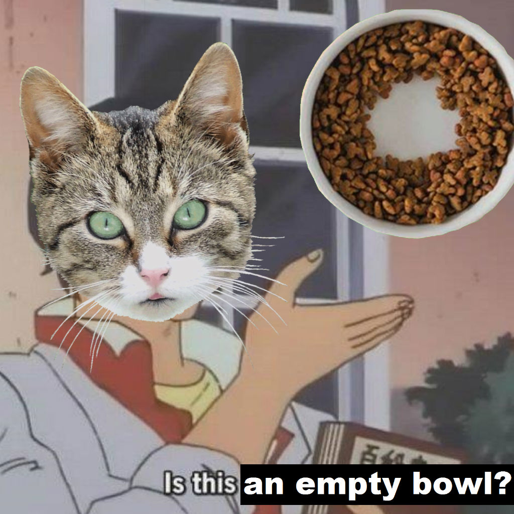 Empty bowl cat memes