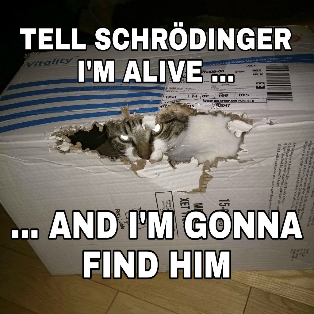 Schrodinger cat memes