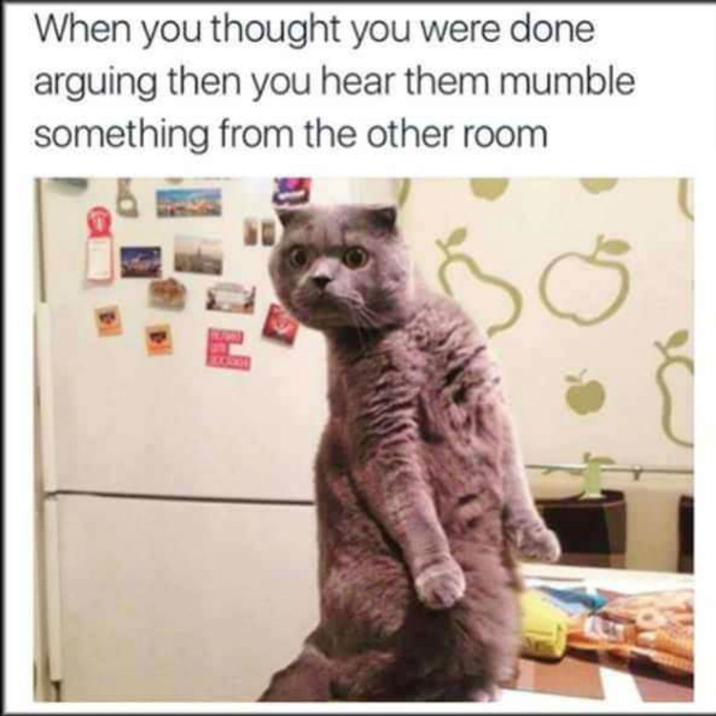 Other room cat memes