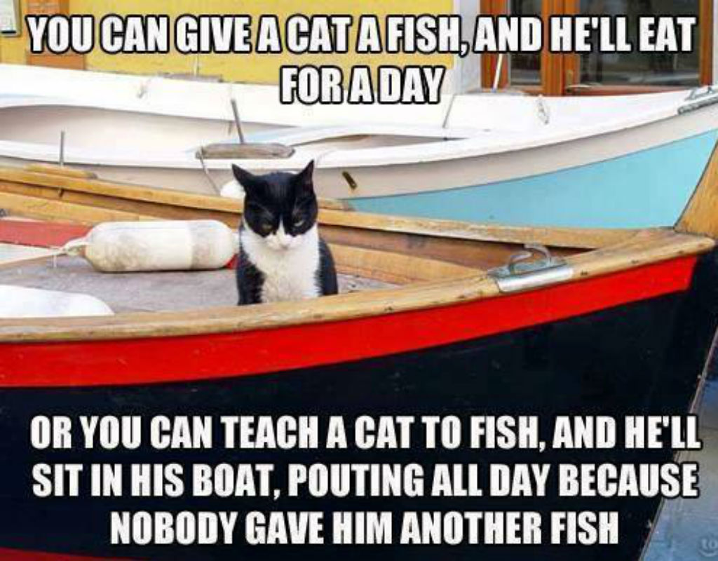 Fishing cat memes