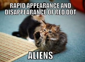 Aliens cat memes