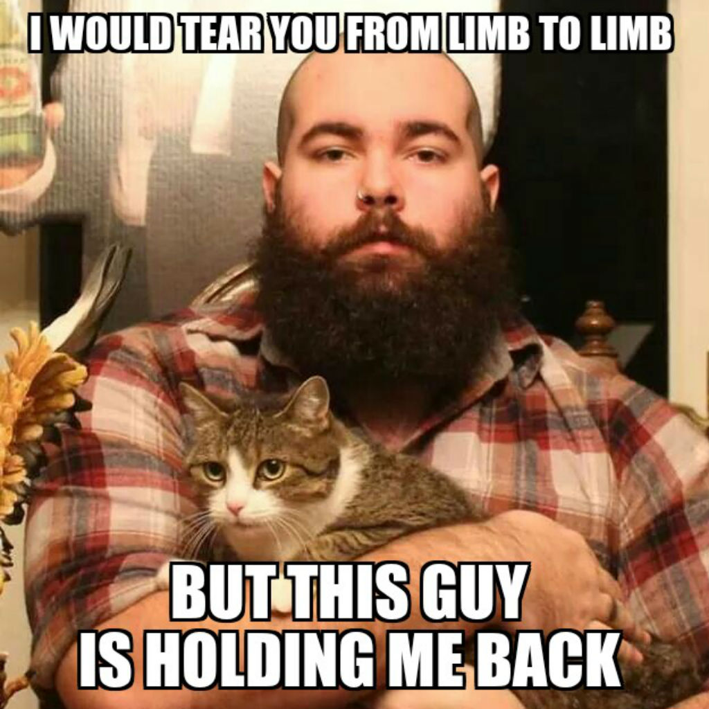 Hold me back cat memes