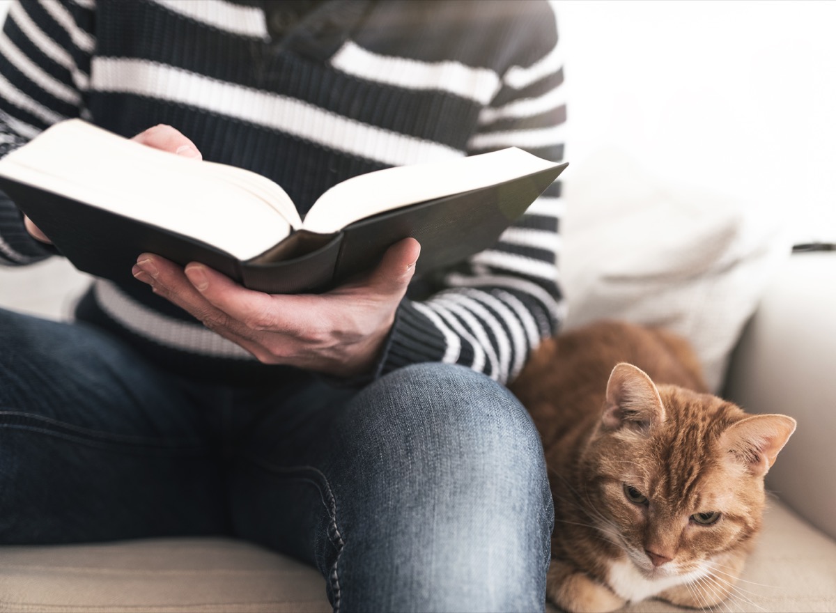 propriétaire lisant un livre à côté de son chat