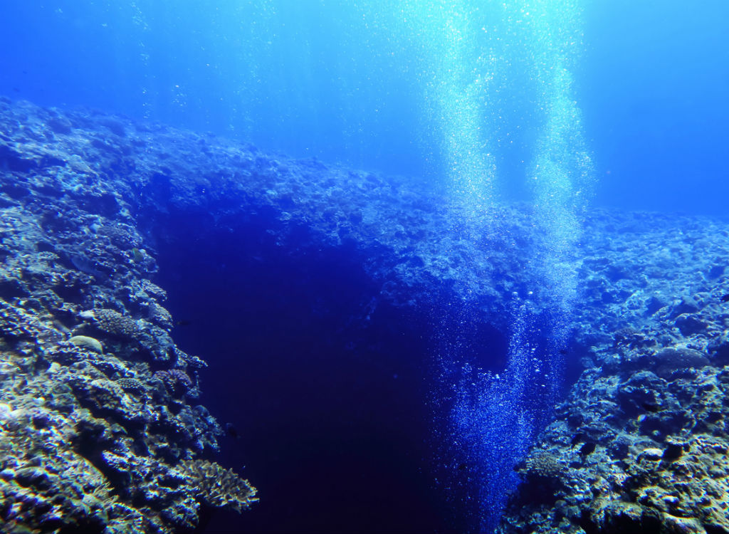 Hydrothermal vent under the sea