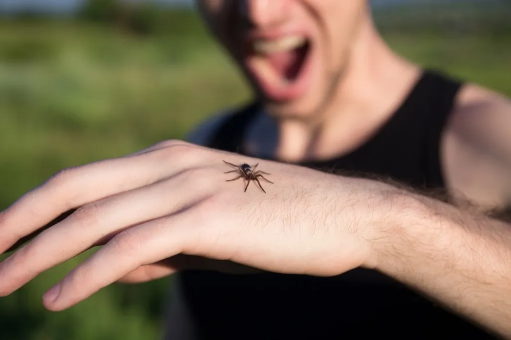 Man is afraid of spiders