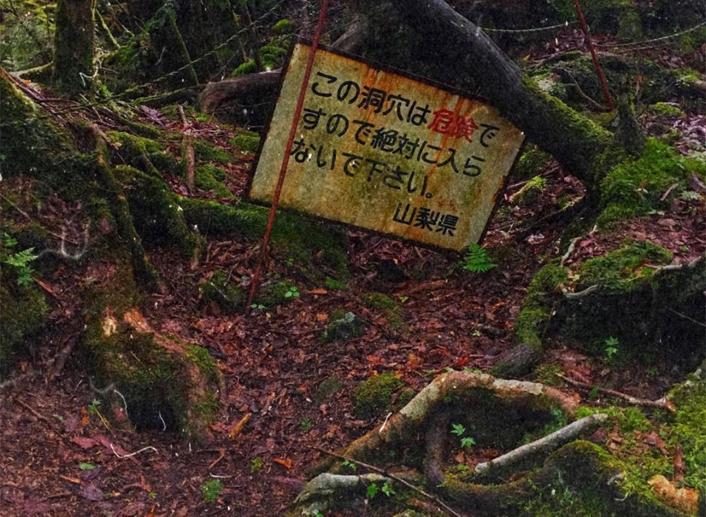 Aokigahara suicide forest