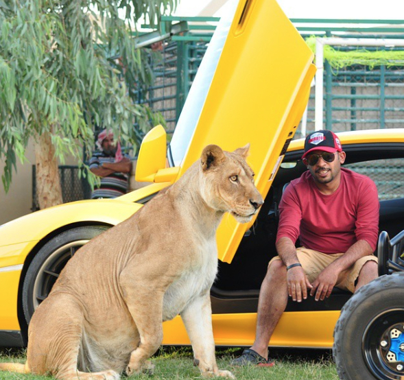 Man Who Owns Lion Craziest Pets