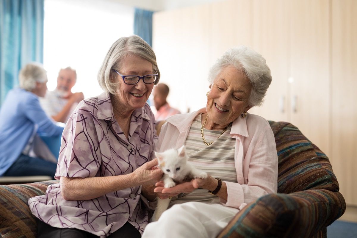 old people hanging out with their cats