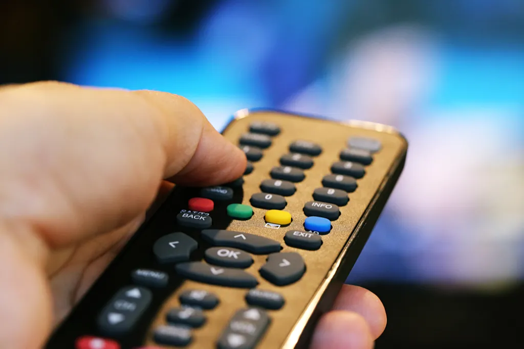 man using remote control, Most Expensive Things on the Planet