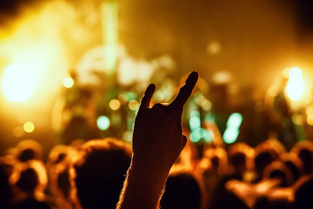 giving the horns at a totally metal rock concert, dude