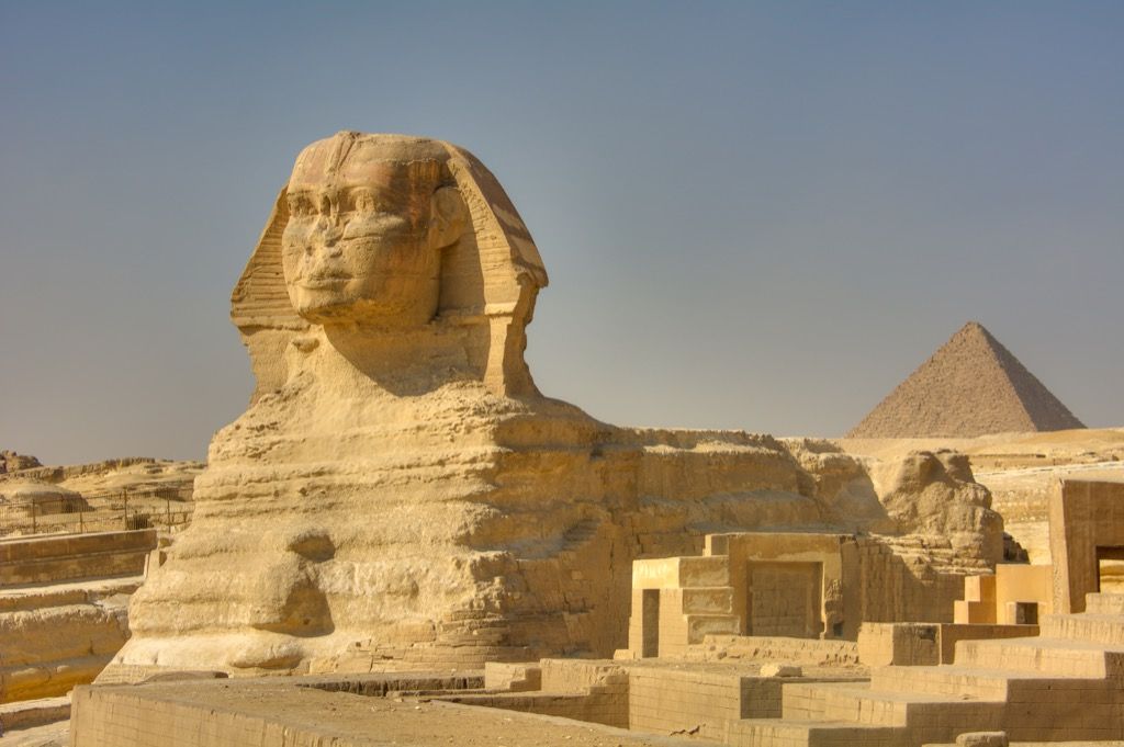 le grand sphinx de gizeh pourquoi les chats sont meilleurs que les chiens