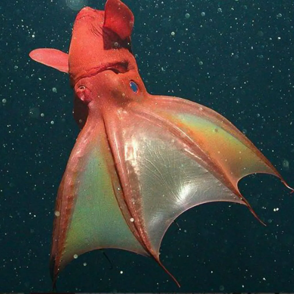 20 Bizarre Sea Creatures That Look Like They're Not Real