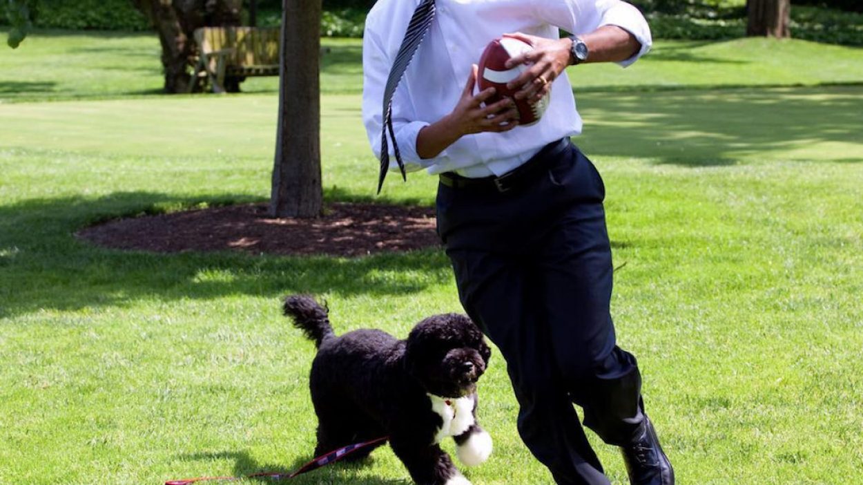 20 Pets Who Lived in the White House — Best Life