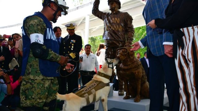 frida the rescue dog gets a statue in Mexico for her part in saving the lives of 12 people in last year's earthquake {best of 2018}