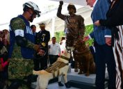 frida the rescue dog gets a statue in Mexico for her part in saving the lives of 12 people in last year's earthquake {best of 2018}