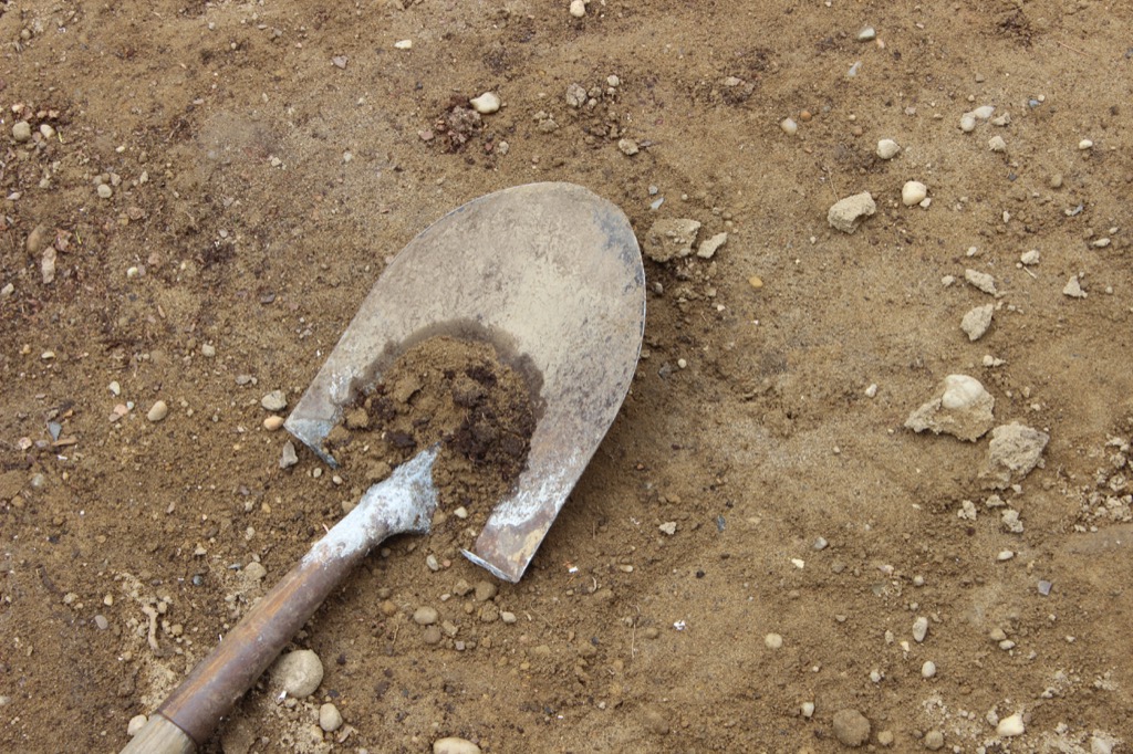 shoveling dirt